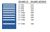 MP0900-0901FA - Lista MP Cabinet w/ Drawer Layouts